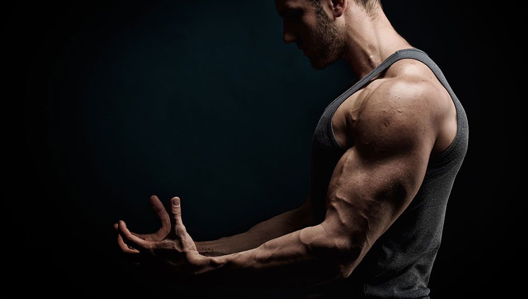 Gym Model 7